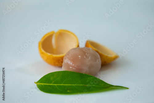 Ripe Pitomba fruits (talisia esculenta), an exotic fruit from the Brazilian tropical forest and bioma cerrado. Ripens in the months of November and December photo