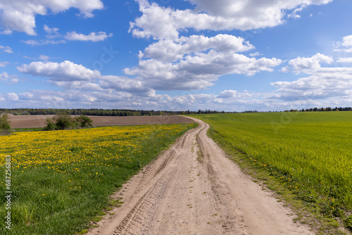 unpaved road in rural areas in spring, unpaved road