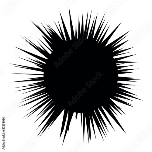 Sea urchin silhouette. Image of a black sphere with long spikes.