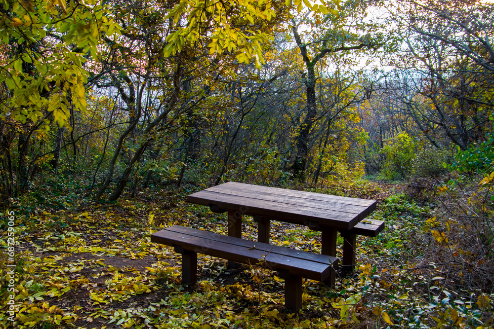 Bench on the Devil Peak in Buda in November Bench on the Devil Peak in Buda in November