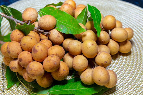 Ripe Pitomba fruits (talisia esculenta), an exotic fruit from the Brazilian tropical forest and bioma cerrado. Ripens in the months of November and December photo