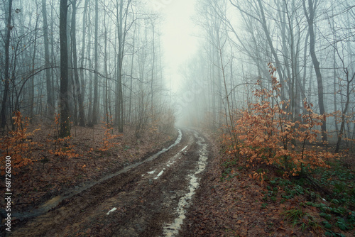 Dirty, washed out road in a foggy, winter forest © Rejdan