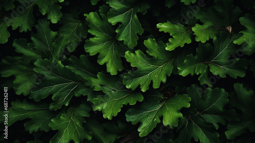 Green leaves pattern background photo