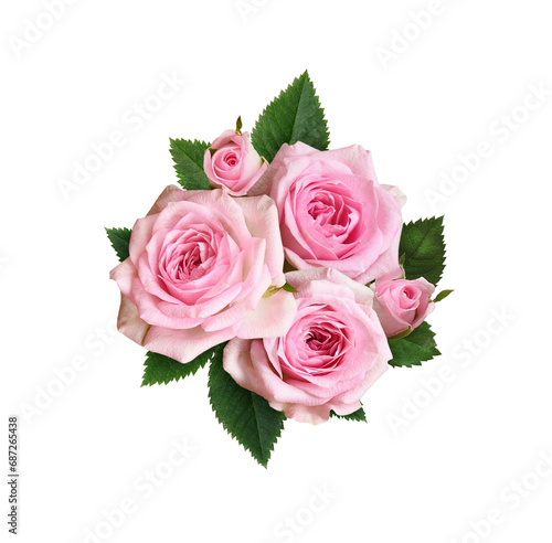 Pink rose flowers with green leaves in a floral arrangement isolated on white or transparent background