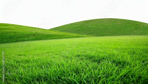 green grass field on white background © Alicia