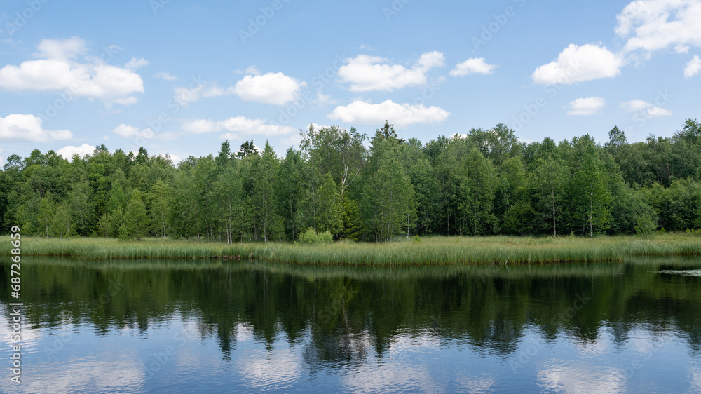 Lake in green nature with blue sky and white clouds