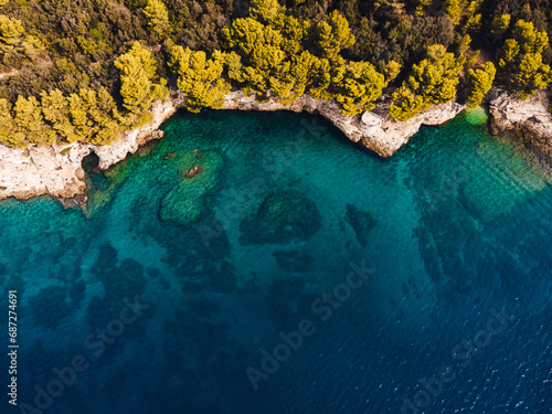 Fototapeta Naklejka Na Ścianę i Meble -  A tranquil oasis surrounded by untamed nature, where the shimmering blue waters meet a rugged landscape of trees and rocks, all on the edge of a vibrant reef and a distant island waiting to be explor