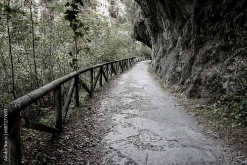 Senda del Oso  Bear Trail  - green way Entragu Proaza  Asturias  Spain