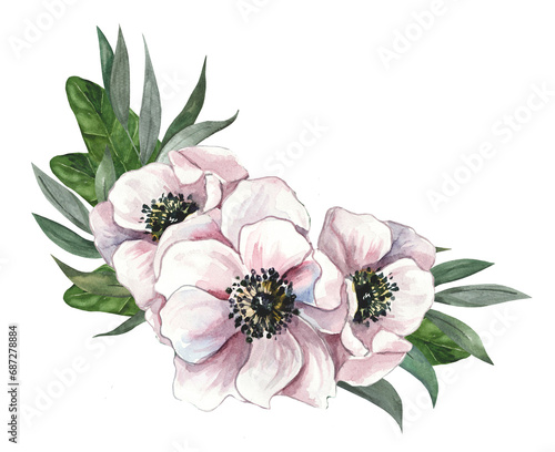 Flower arrangement of anemones. Hand drawn winter and spring bouquet with delicate pink flowers and leaves for design of greeting cards, wedding invitations, decor on white background