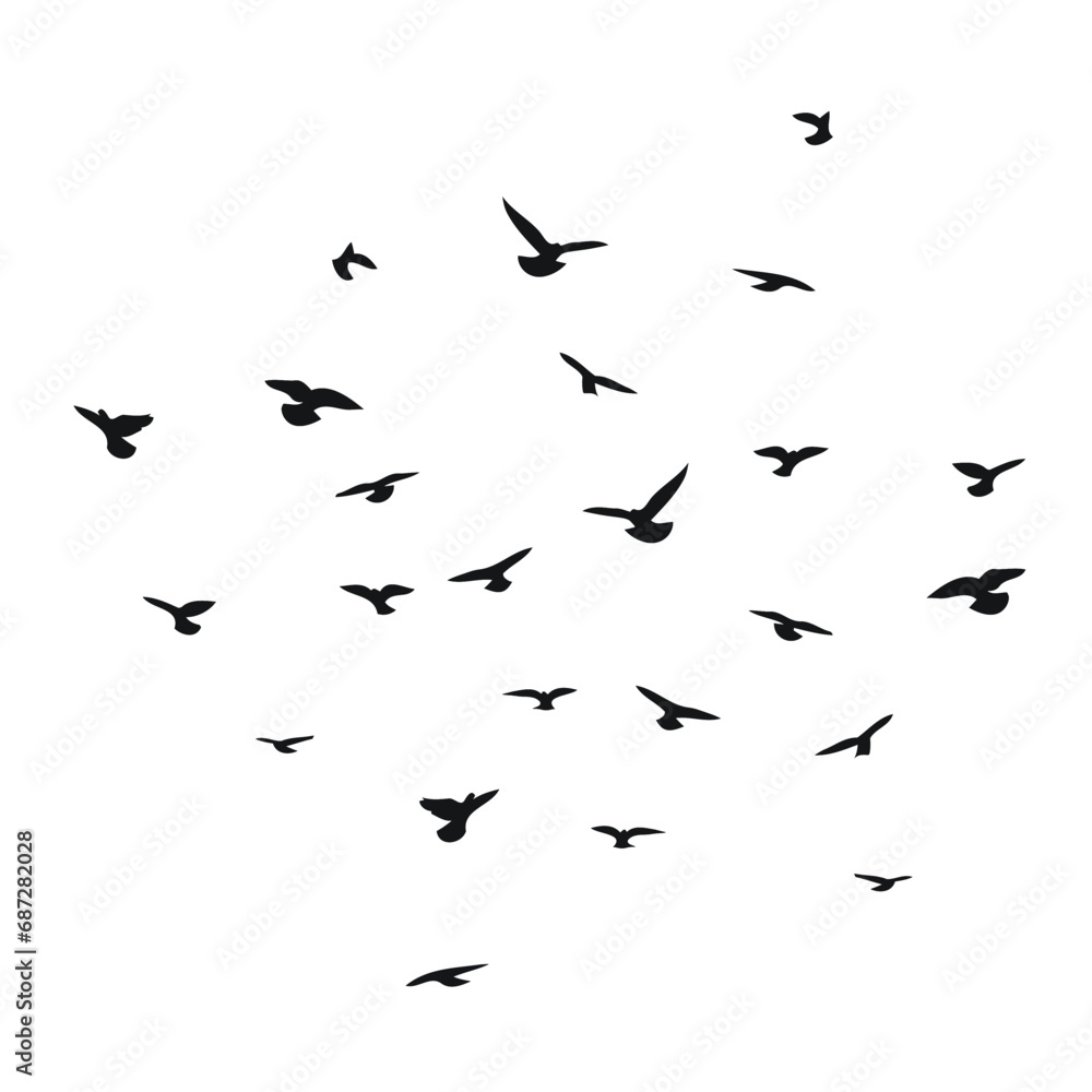 Silhouette sketch of a flock of flying birds, flight in different