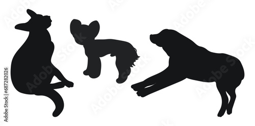 Sketch image of black silhouette dogs, outline of pets. Go, standing, sitting, lying, lie, running, jumping, training, walking, guarding, posing, play, showing