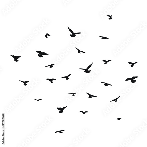 Silhouette sketch of a flock of flying birds, flight in different positions. Takeoff, flying, flight, flutter, hover, soaring, landing © Mar