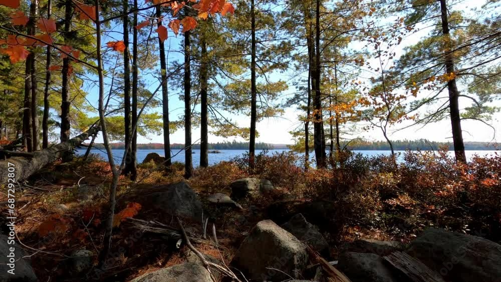 Lake Lila 038 Wilderness Canoe New York Lake Lila 038 Wilderness Canoe New York