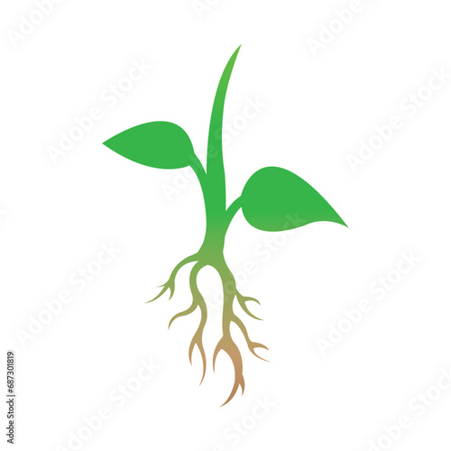 root of the tree icon logo vector design template