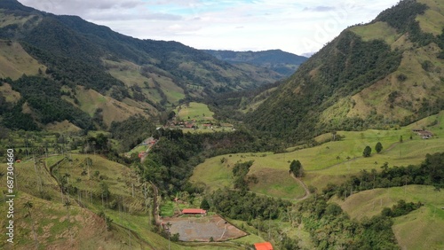 Cocora Salento Quindio PALMA DE CERA