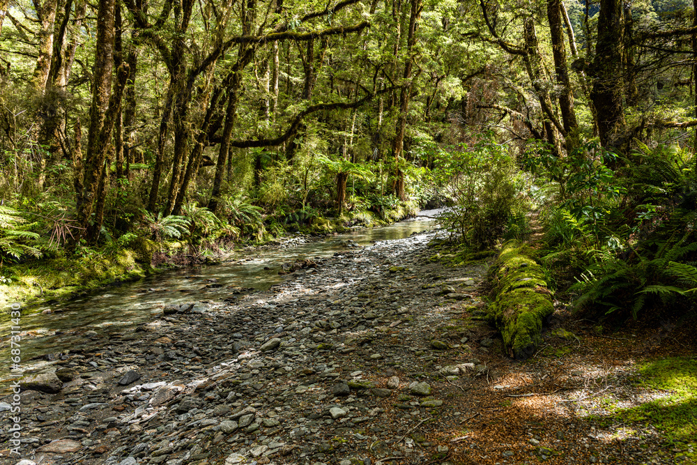 Hike Along River on the way to Milford Sound Hike Along River on the way to Milford Sound