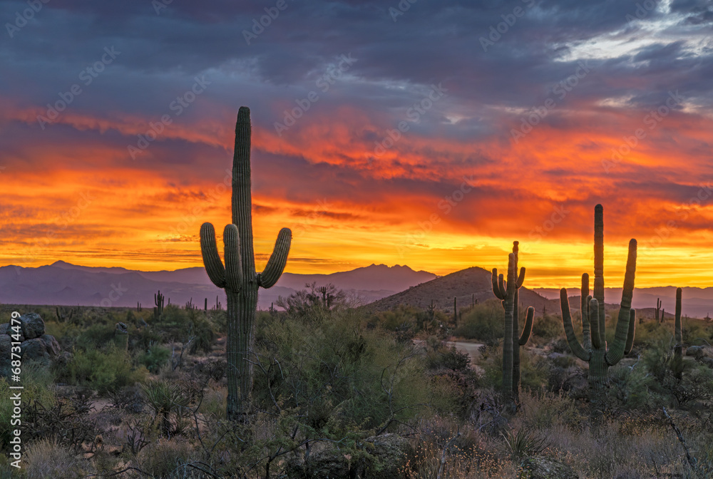 Vibrant Desert Sunrise Skies In North Scottsdale AZ