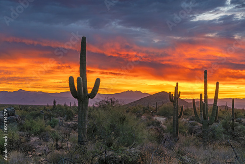 Vibrant Desert Sunrise Skies In North Scottsdale AZ