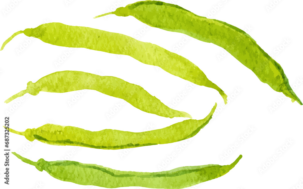 Watercolor painted peas. Hand drawn fresh food design element isolated on white background. Watercolor painted peas. Hand drawn fresh food design element isolated on white background.
