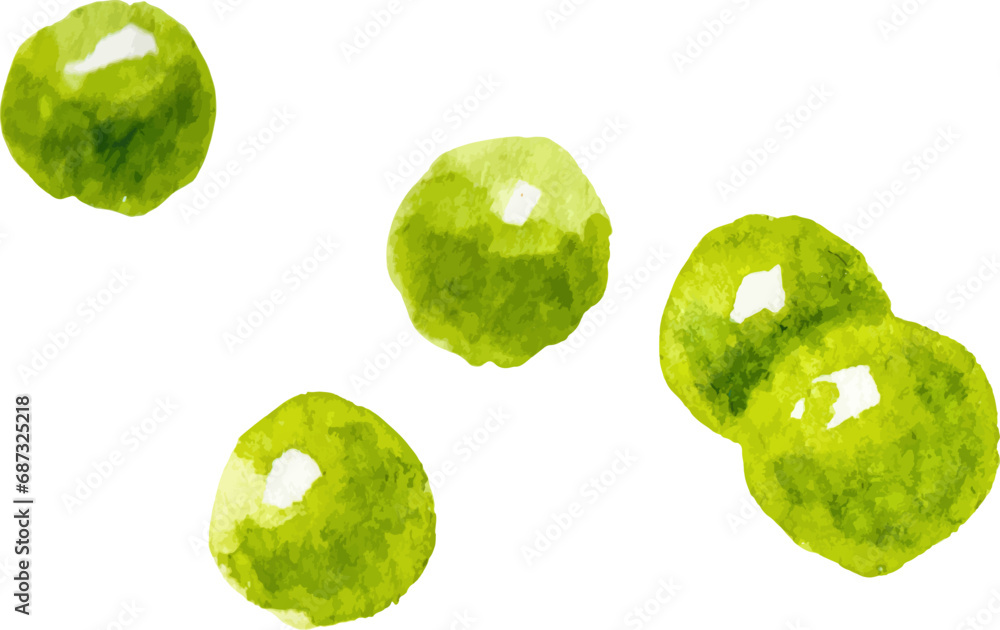Watercolor painted peas. Hand drawn fresh food design element isolated on white background. Watercolor painted peas. Hand drawn fresh food design element isolated on white background.