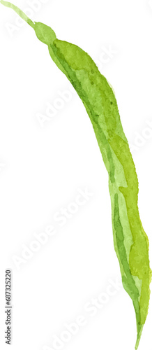 Watercolor painted peas. Hand drawn fresh food design element isolated on white background.