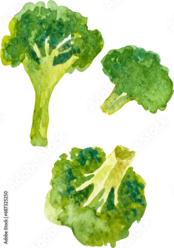 Watercolor painted broccoli. Hand drawn fresh food design element isolated on white background.