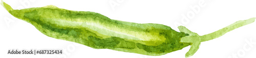 Watercolor painted peas. Hand drawn fresh food design element isolated on white background.