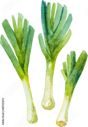 Watercolor painted leek. Hand drawn fresh food design element isolated on white background.