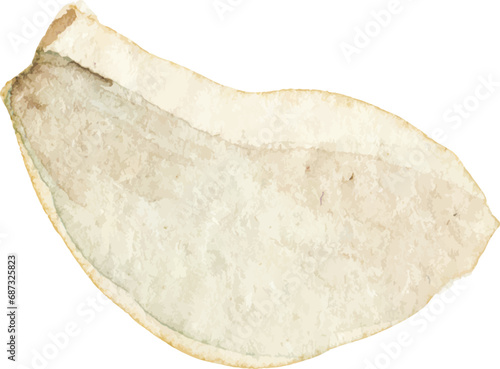 Watercolor painted garlic. Hand drawn fresh food design element isolated on white background.