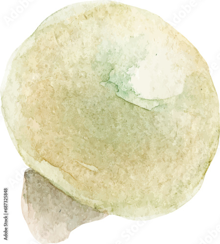 Watercolor painted champignon. Hand drawn fresh food design element isolated on white background.