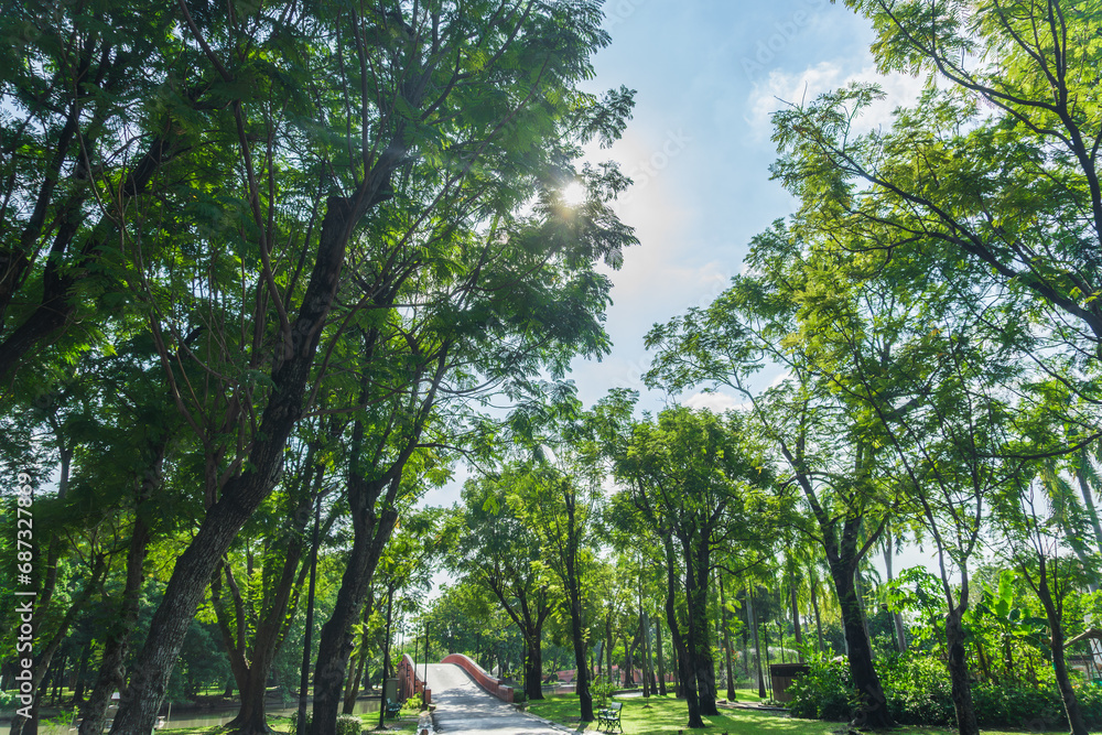 Jatujak(Chatuchak) public city park in Bangkok,Thailand Jatujak(Chatuchak) public city park in Bangkok,Thailand