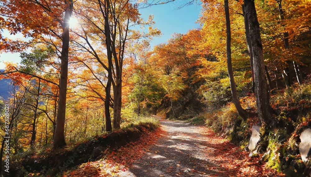 autumn forest scenery with road of fall leaves warm light illumining the gold foliage footpath in scene autumn forest nature vivid october day in colorful forest maple autumn trees road fall way