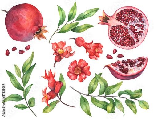 Watercolor pomegranate fruit with flowers and leaves isolated on a white background. Botanical clipart, hand drawn illustration. photo