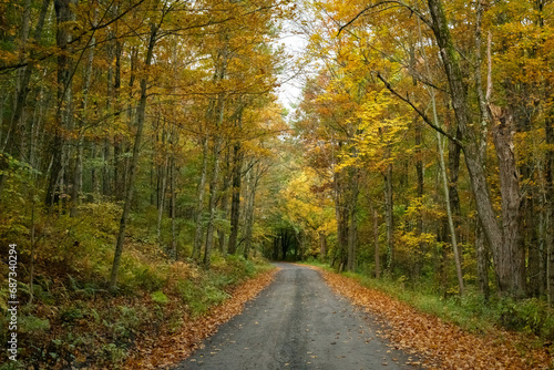 Fototapeta Naklejka Na Ścianę i Meble -  Autumn Backroads