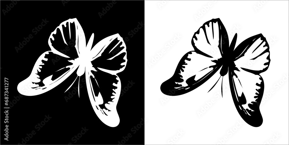 Illustration vector graphics of bat icon Illustration vector graphics of bat icon