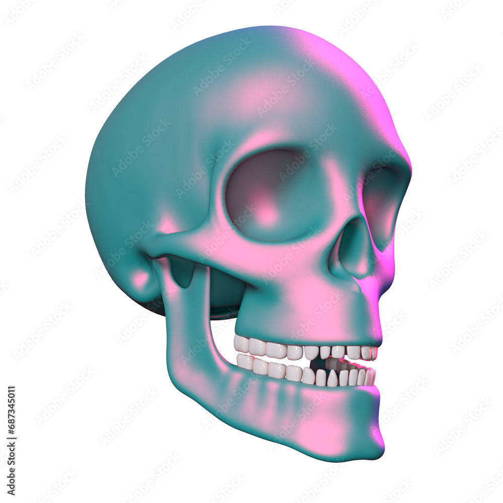 Obraz premium skull skeleton head isolated 3D render Ilustration