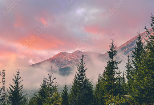 Fototapeta Naklejka Na Ścianę i Meble -  Alpine pine trees in foggy bright sunrise in mountains. Pink cloudy sky and mount range. Stunning wild nature during sunrise. Natural background. Travel, tourism, holiday, trekking, hiking