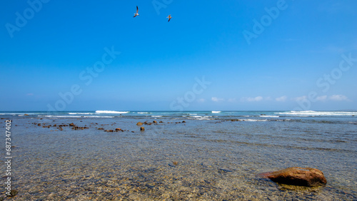 Seagulls flying over the waves in Punta de Mita beach photo
