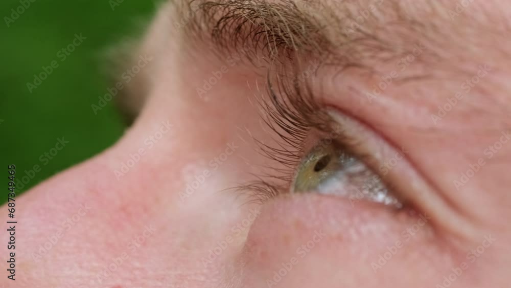 A Captivating Gaze in Vivid Green Surroundings A Captivating Gaze in Vivid Green Surroundings