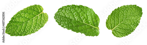 Many fresh mint leaves isolated on white photo