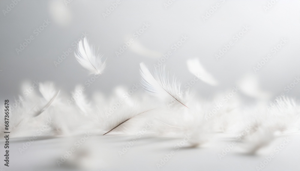 Soft feathers falling from the sky - obrazy, fototapety, plakaty 