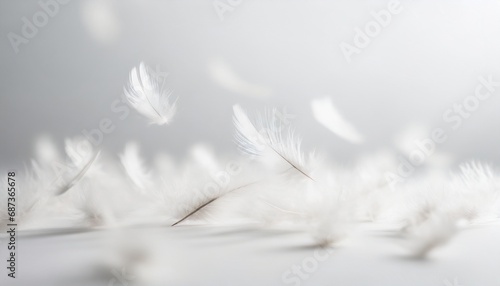 Soft feathers falling from the sky photo