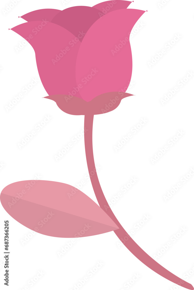 pink rose pink rose