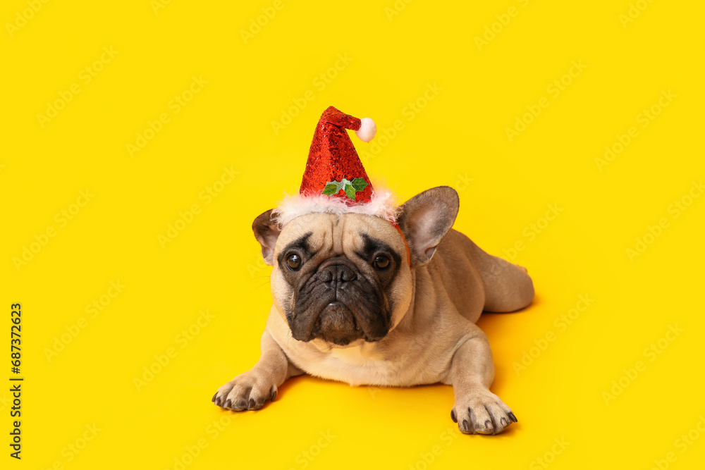 Cute pug dog in Santa hat lying on yellow background