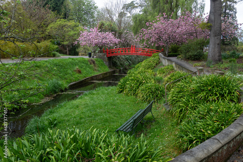 Japanese bridge and tree blossums in the Oamaru Public Garden, Otago, New Zealand