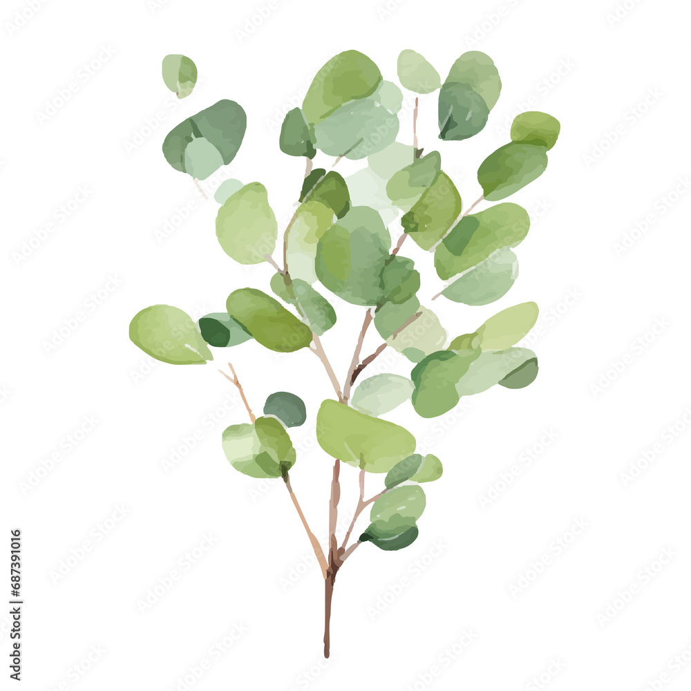 Watercolor Eucalyptus clipart, Eucalyptus leaves, Eucalyptus branches, Wedding greenery clip art, Floral, forest,PNG. Watercolor Eucalyptus clipart, Eucalyptus leaves, Eucalyptus branches, Wedding greenery clip art, Floral, forest,PNG.