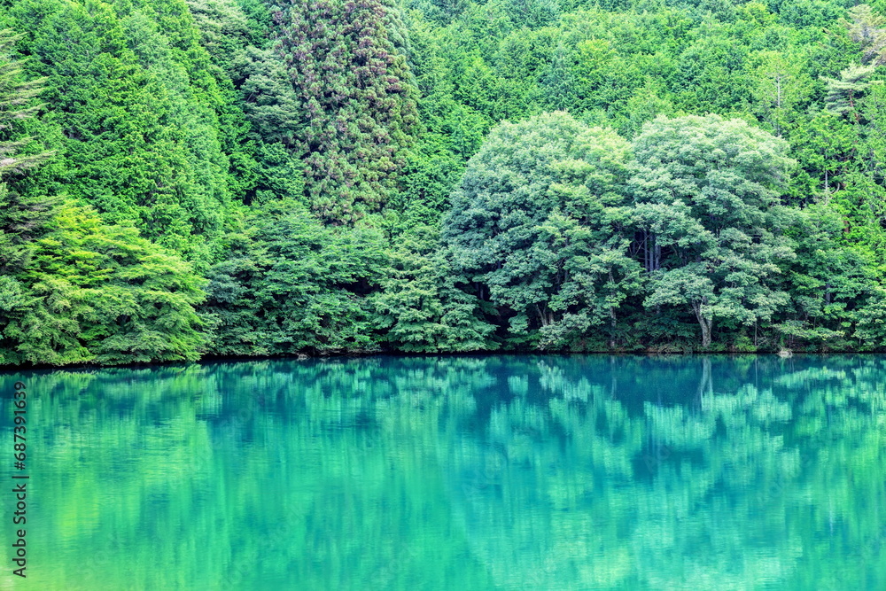夏の南伊奈ヶ湖 夏の南伊奈ヶ湖