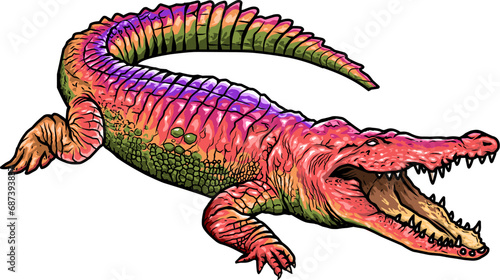 Colorful crocodile with gaping mouth, full body visible