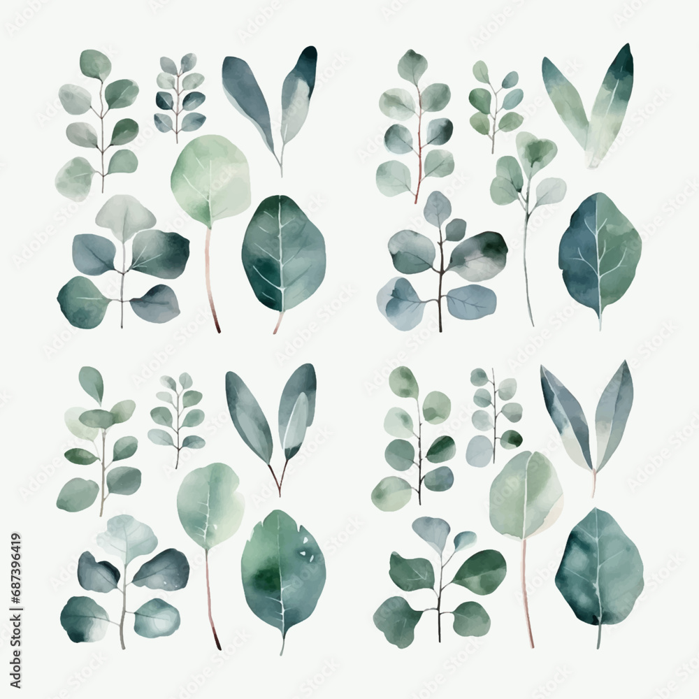 Watercolor Eucalyptus clipart, Eucalyptus leaves, Eucalyptus branches ...