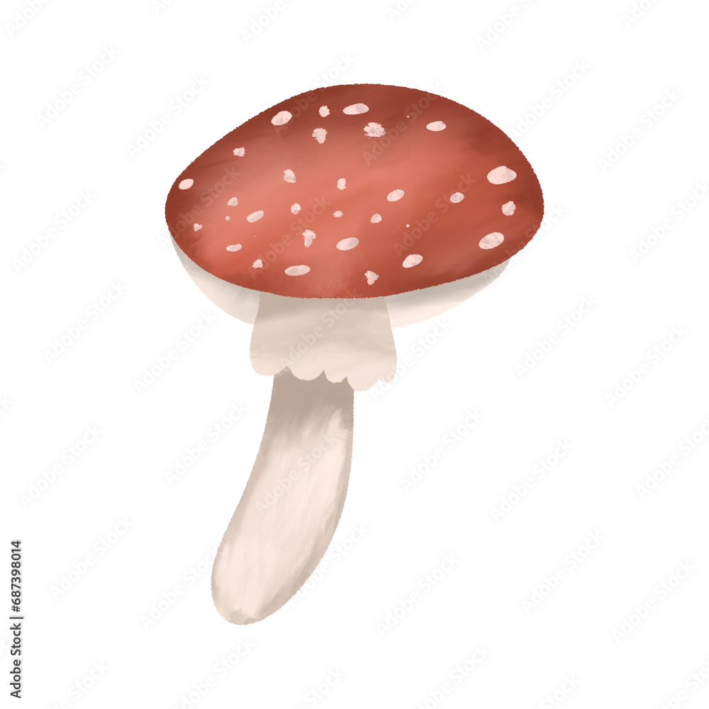 fly mushroom fly mushroom